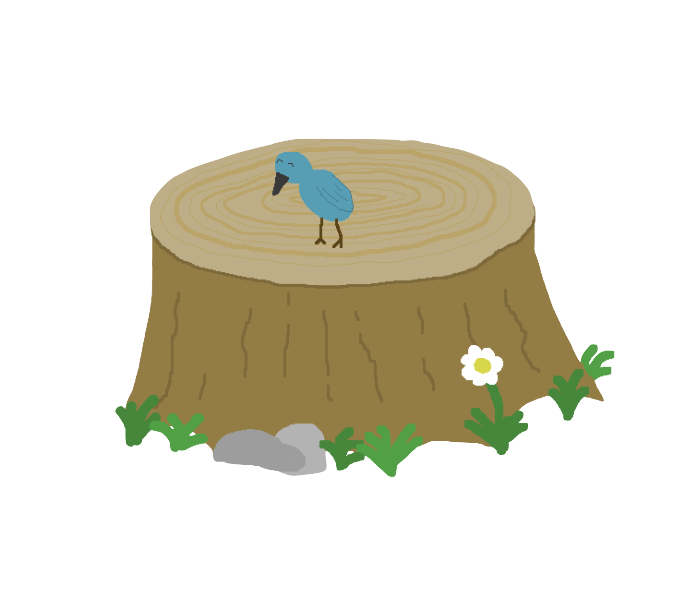 kevin on a log